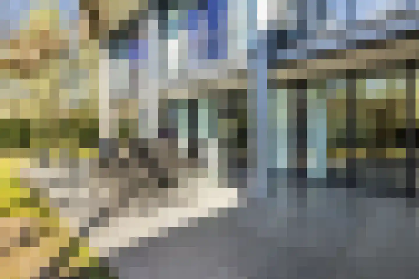 Vlietlaan 7 Gorinchem thumbnail 54