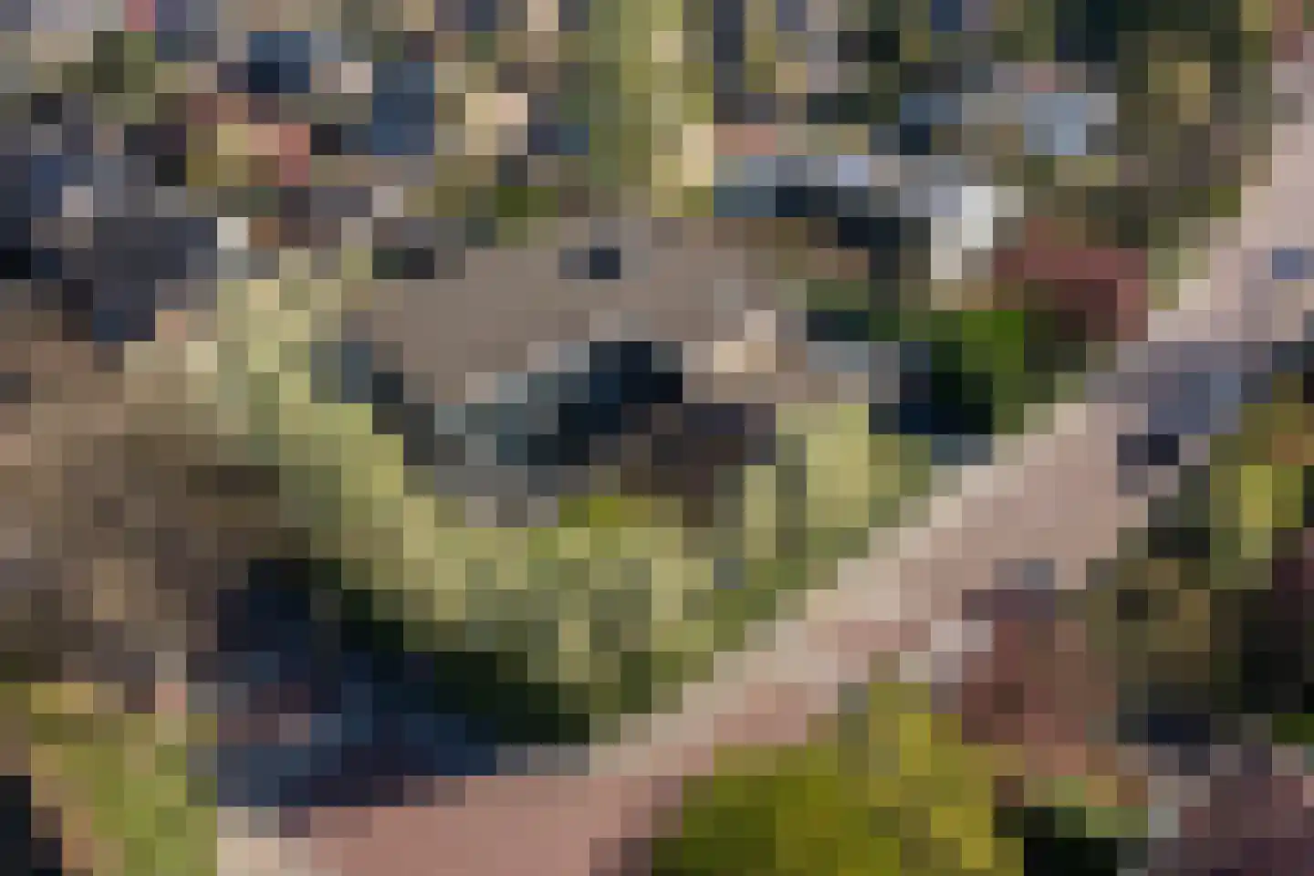 Vlietlaan 7 Gorinchem thumbnail 55