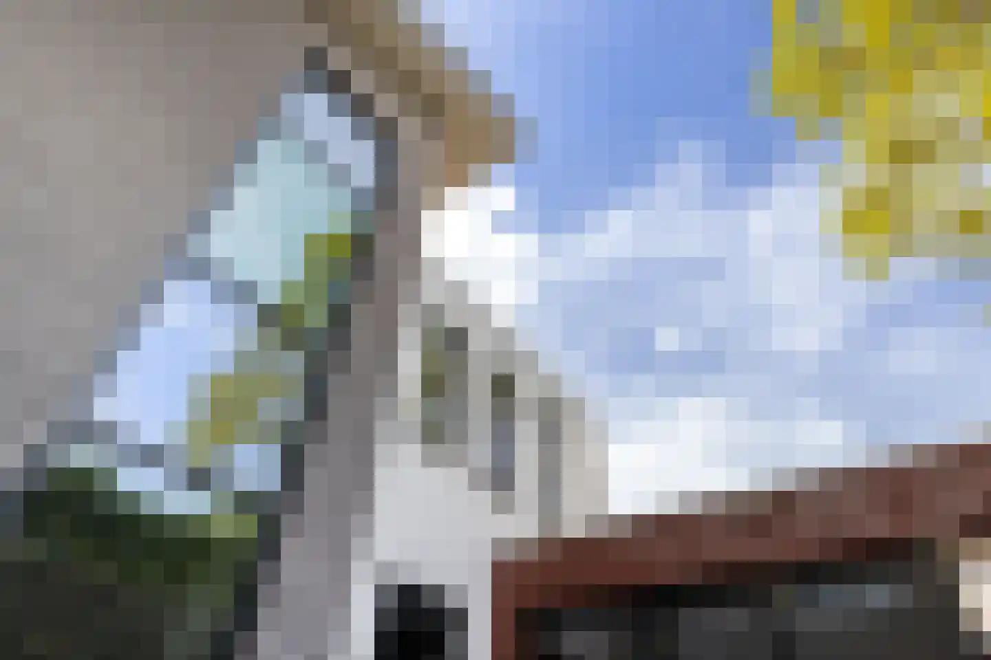 Vlietlaan 7 Gorinchem thumbnail 6