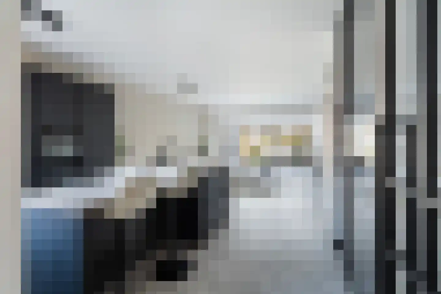 Vlietland 35 Mijnsheerenland thumbnail 10