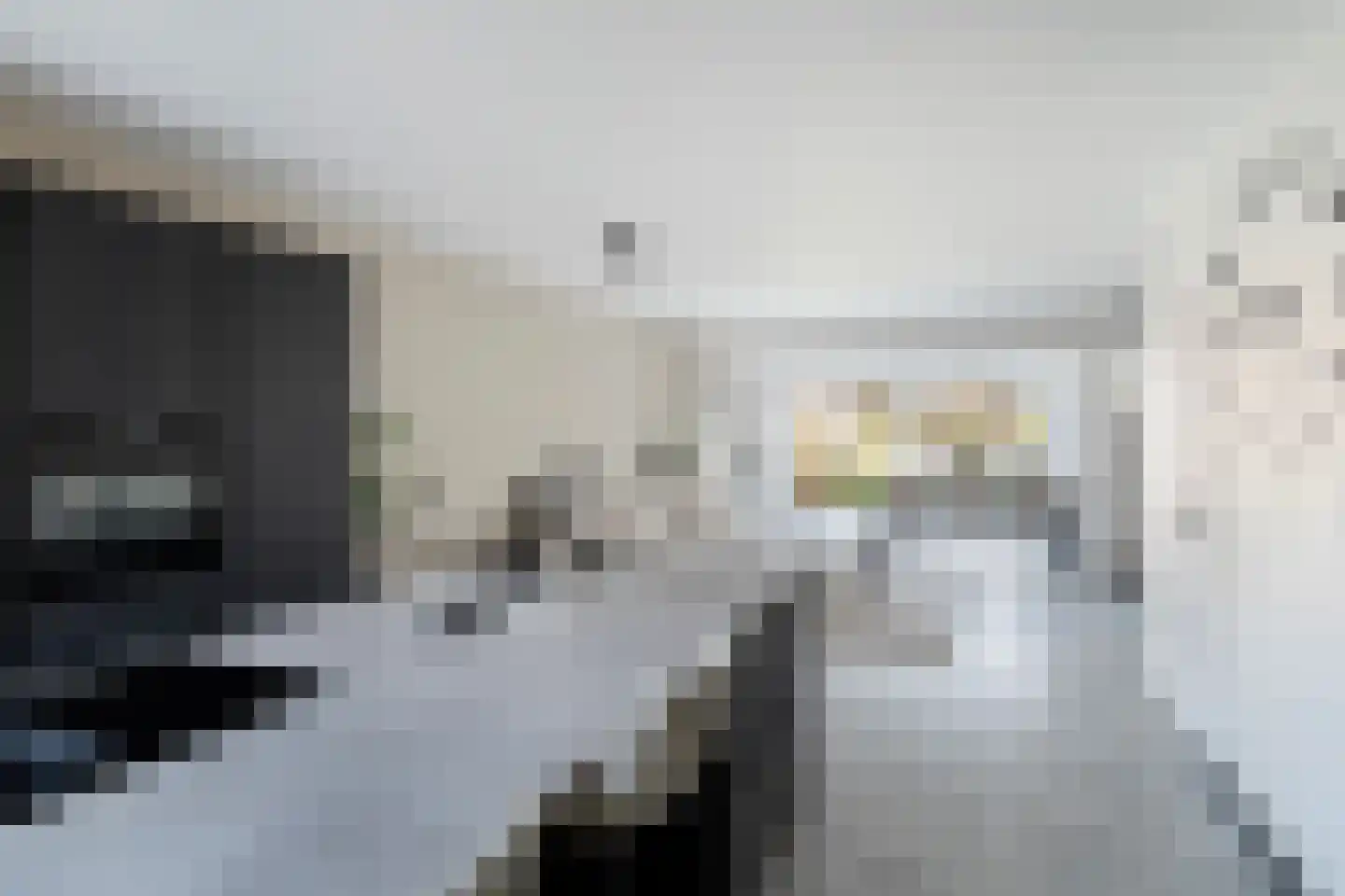 Vlietland 35 Mijnsheerenland thumbnail 11