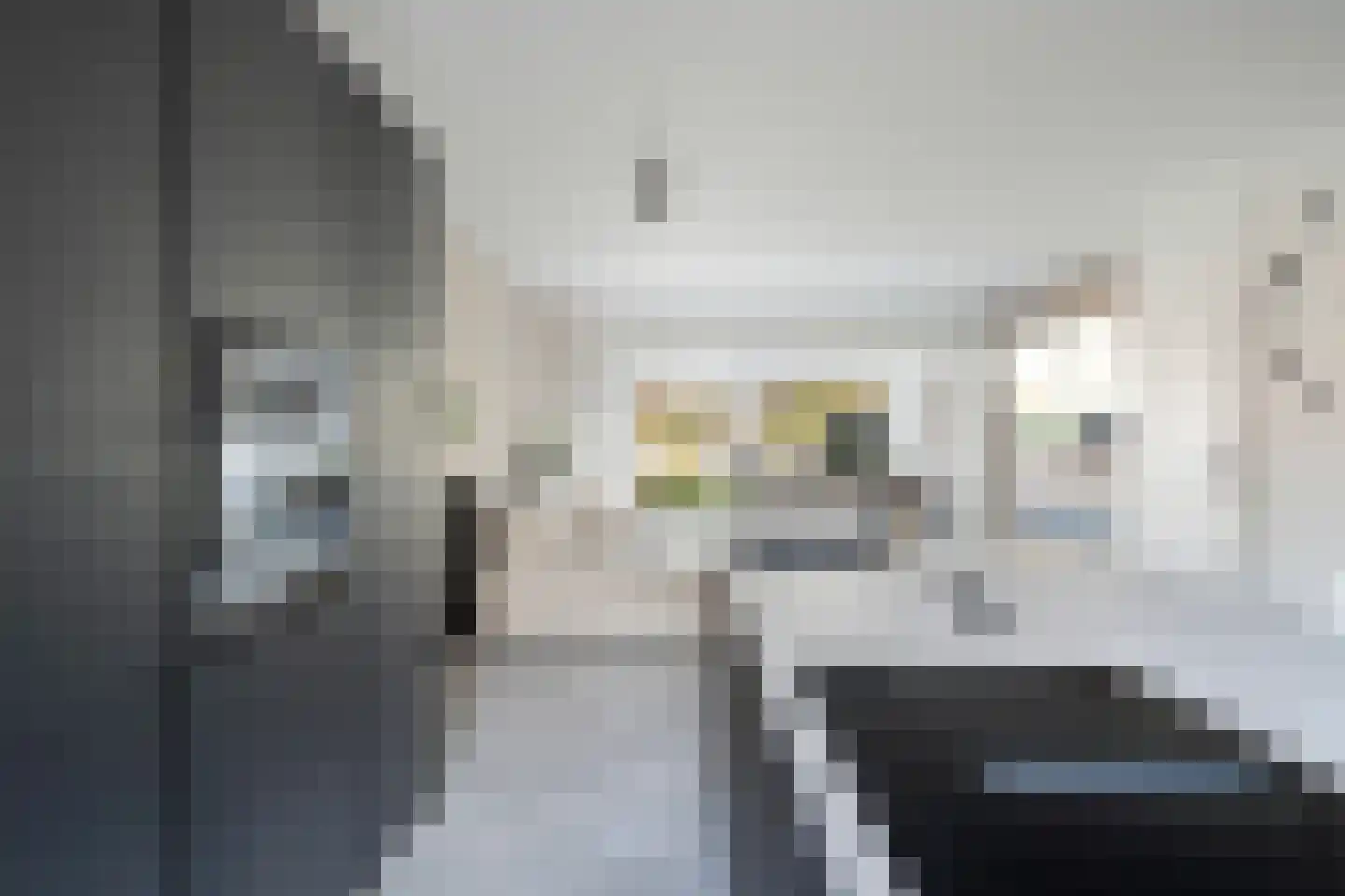 Vlietland 35 Mijnsheerenland thumbnail 12