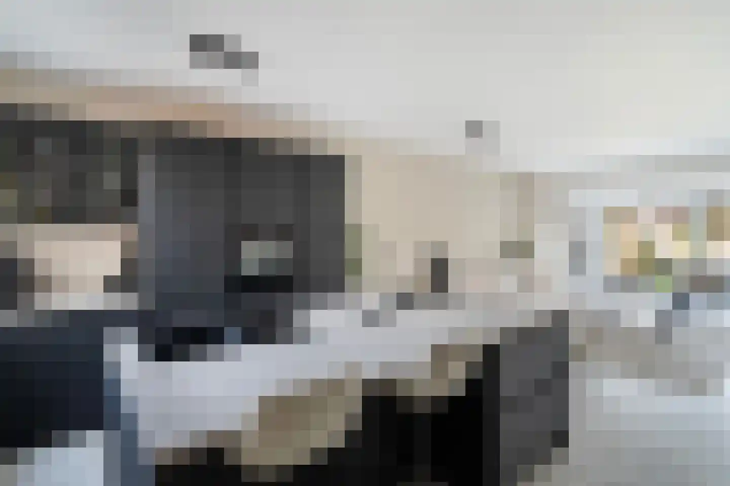 Vlietland 35 Mijnsheerenland thumbnail 13
