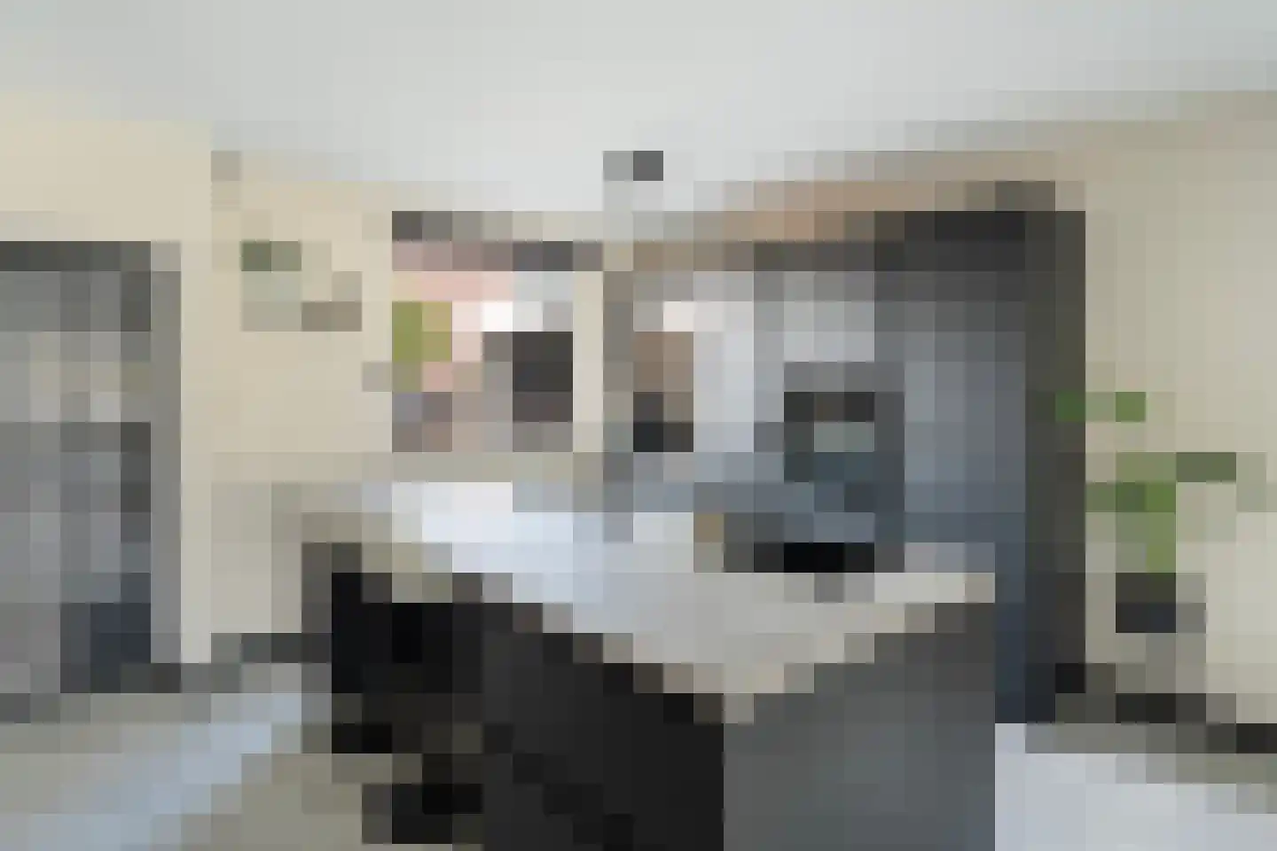 Vlietland 35 Mijnsheerenland thumbnail 15