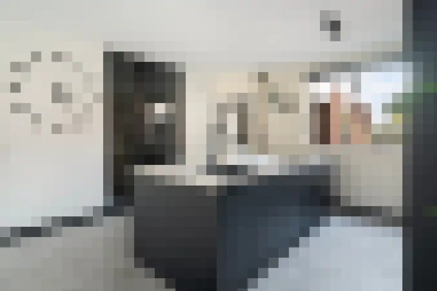 Vlietland 35 Mijnsheerenland thumbnail 16