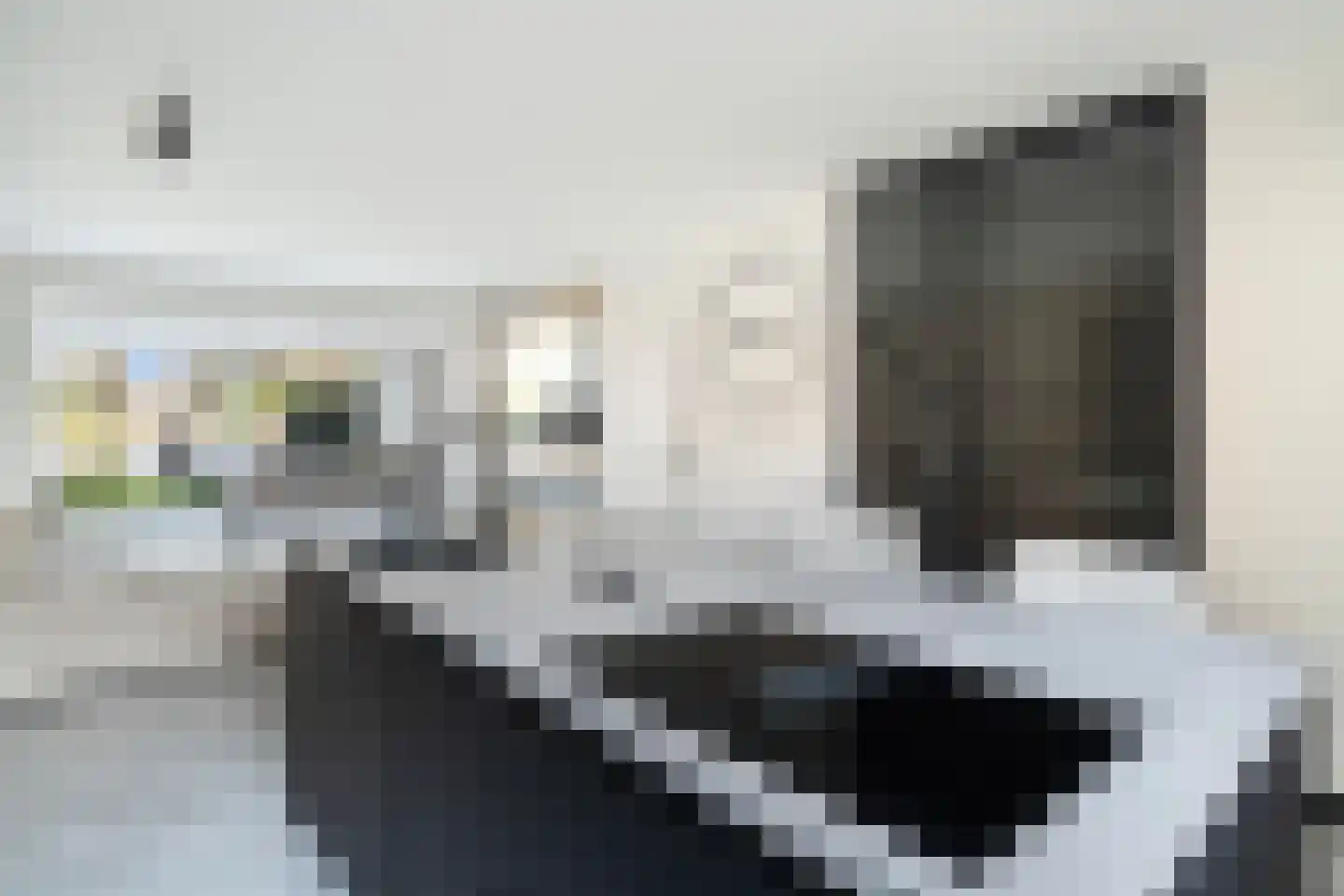 Vlietland 35 Mijnsheerenland thumbnail 17