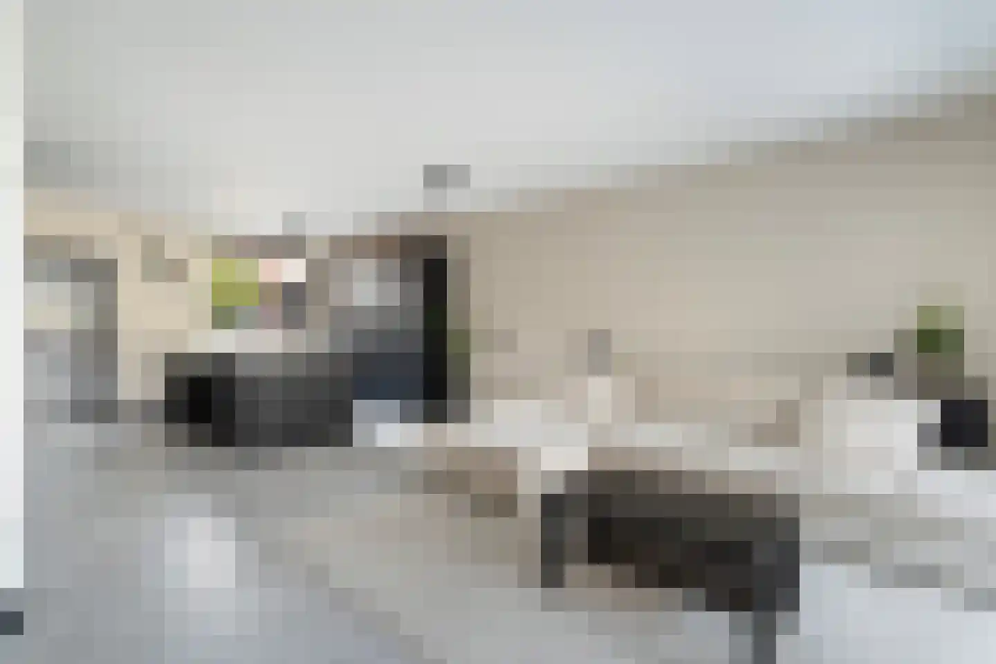 Vlietland 35 Mijnsheerenland thumbnail 18