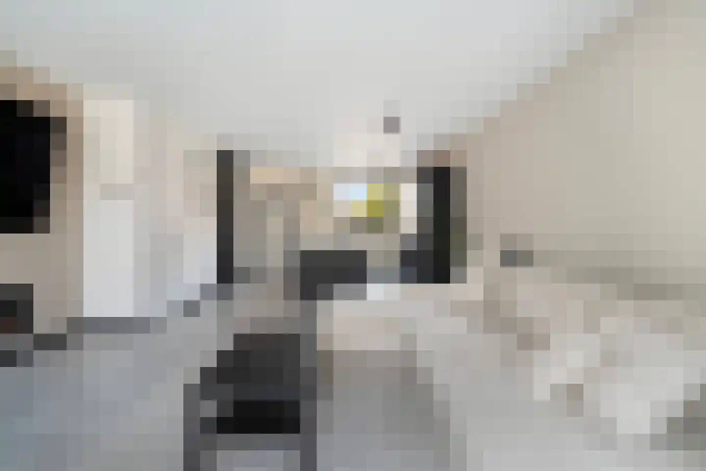 Vlietland 35 Mijnsheerenland thumbnail 19