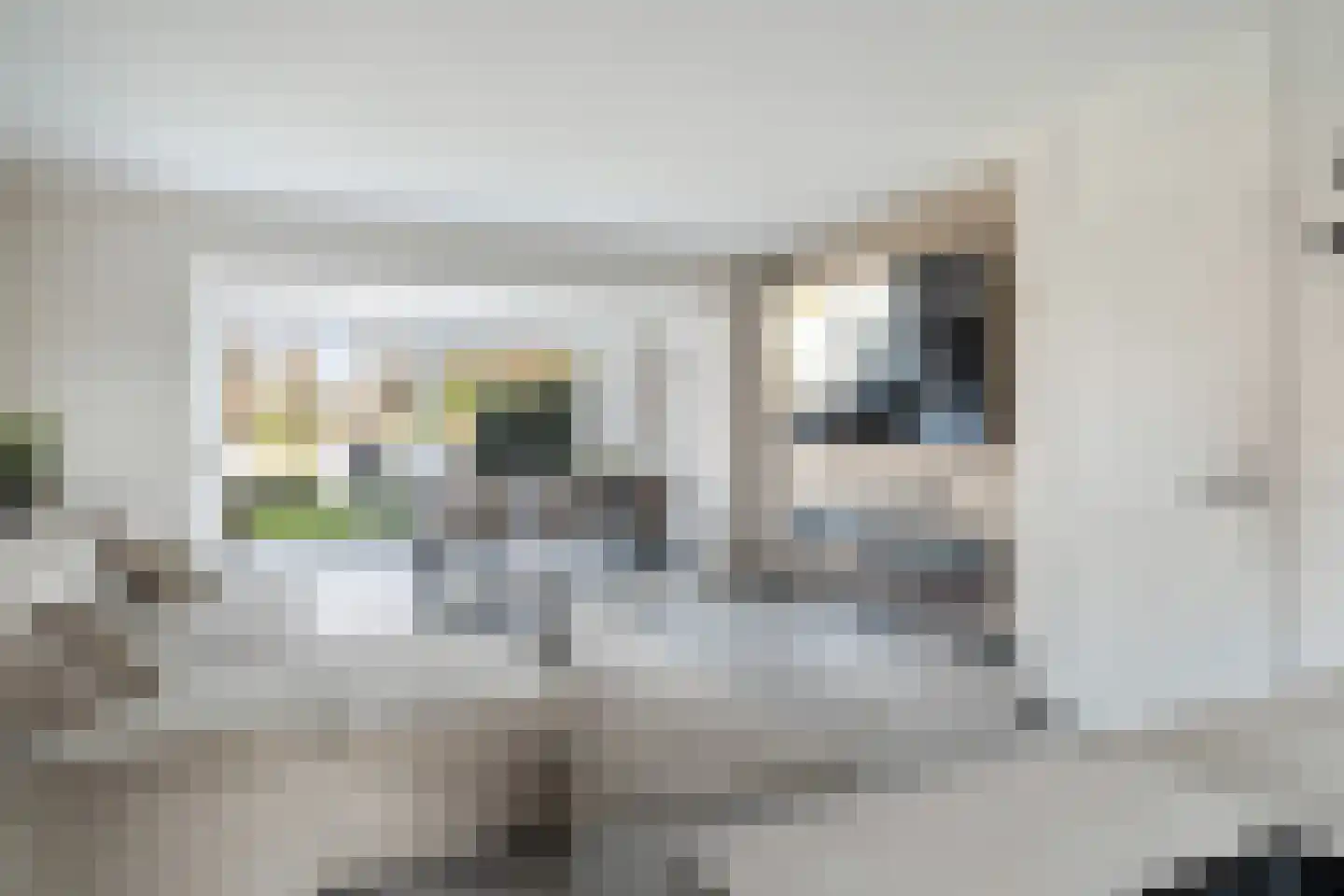 Vlietland 35 Mijnsheerenland thumbnail 20