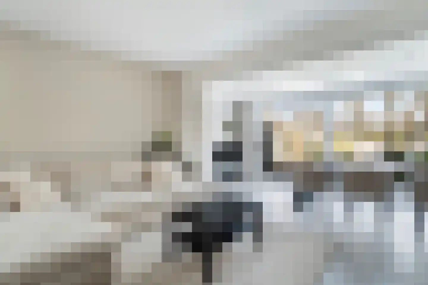 Vlietland 35 Mijnsheerenland thumbnail 22