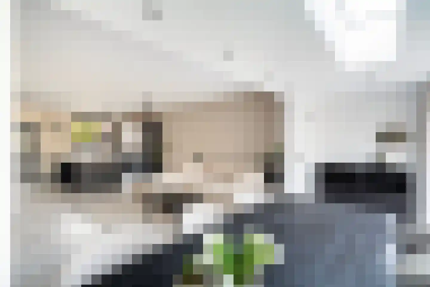 Vlietland 35 Mijnsheerenland thumbnail 27