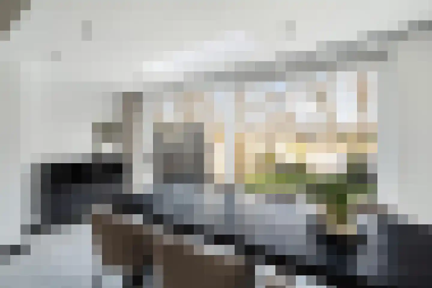 Vlietland 35 Mijnsheerenland thumbnail 28