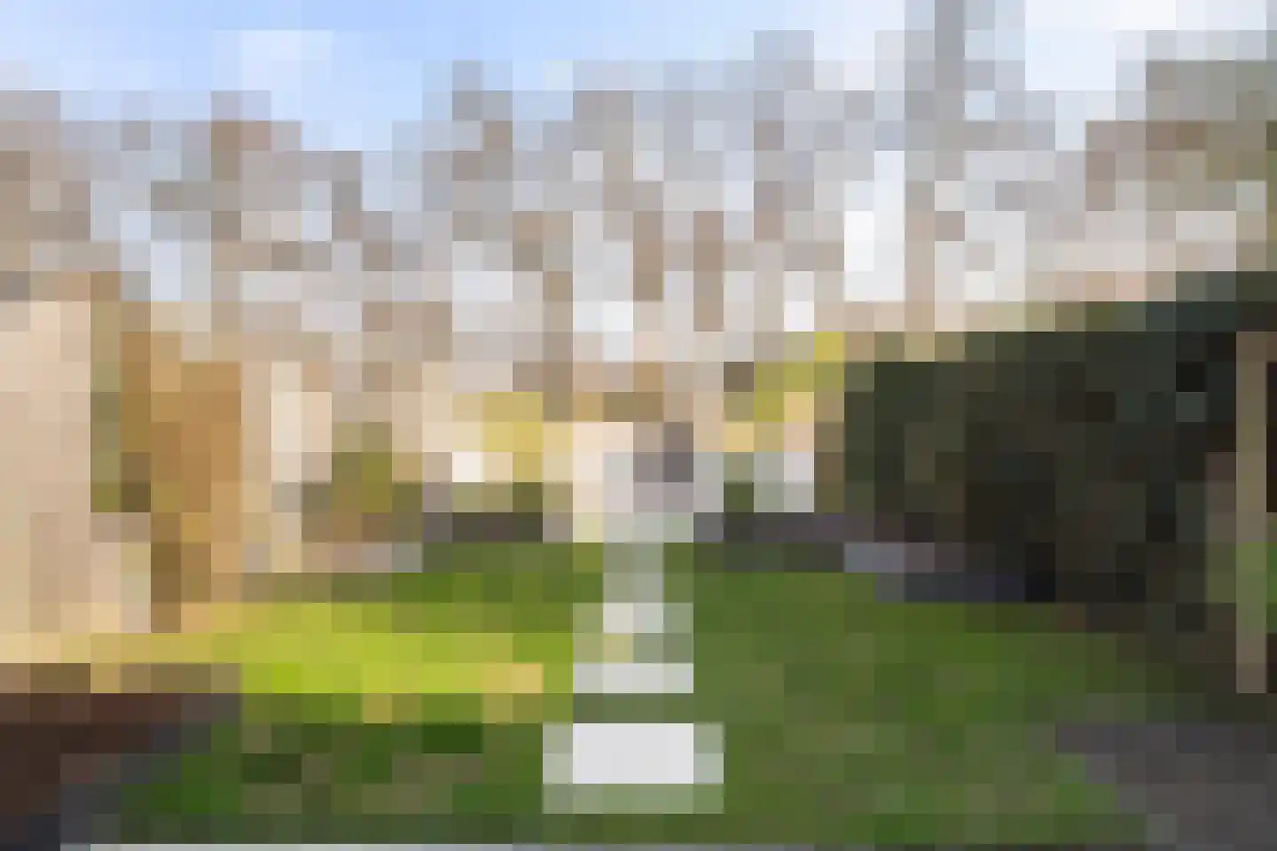 Vlietland 35 Mijnsheerenland thumbnail 30