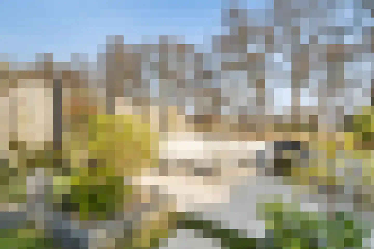 Vlietland 35 Mijnsheerenland thumbnail 32