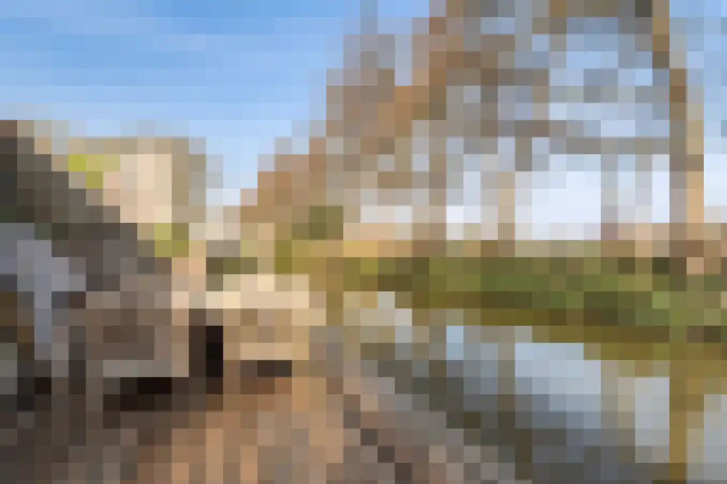 Vlietland 35 Mijnsheerenland thumbnail 33