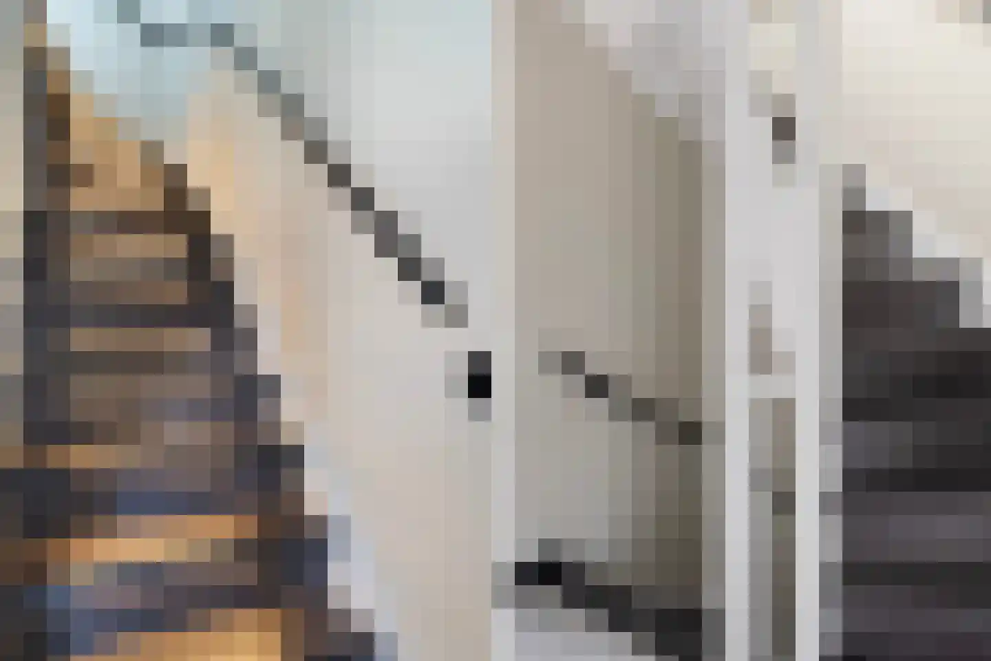 Vlietland 35 Mijnsheerenland thumbnail 35