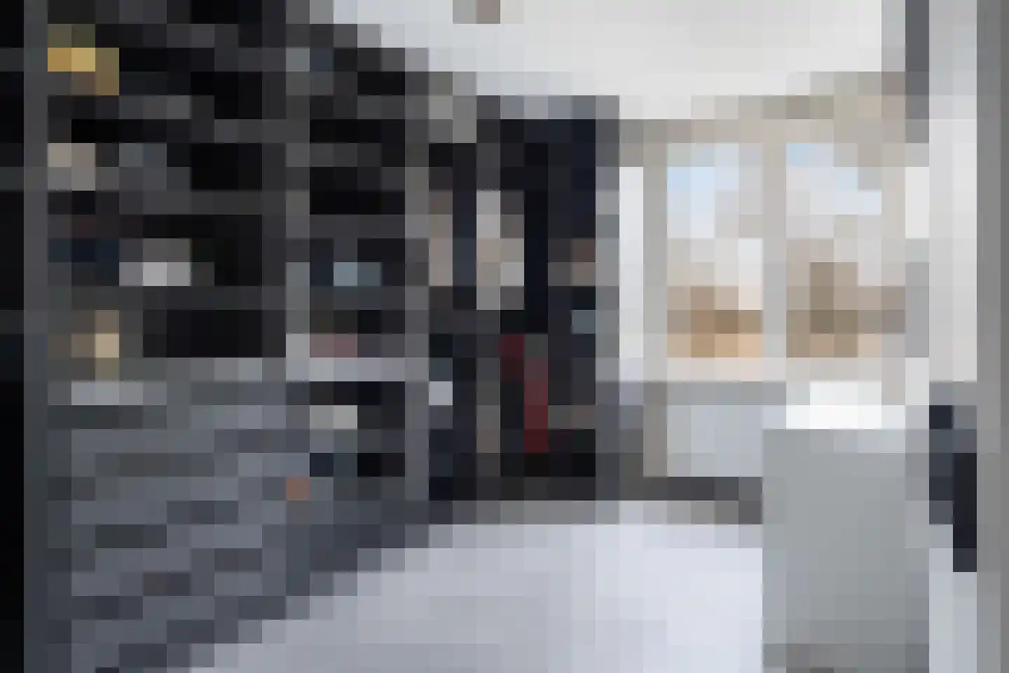 Vlietland 35 Mijnsheerenland thumbnail 39