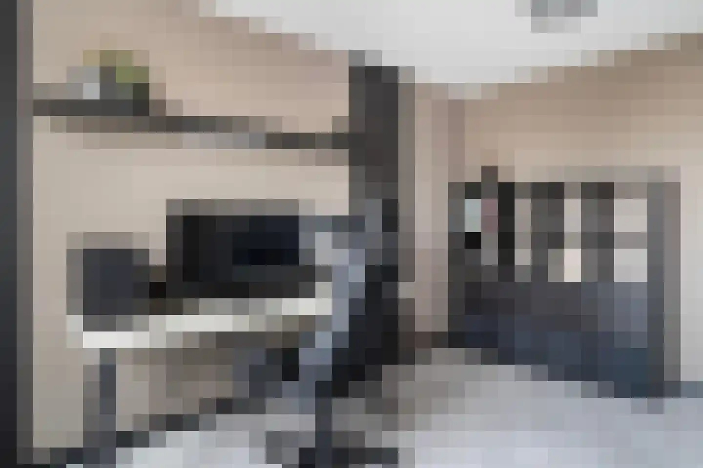 Vlietland 35 Mijnsheerenland thumbnail 42