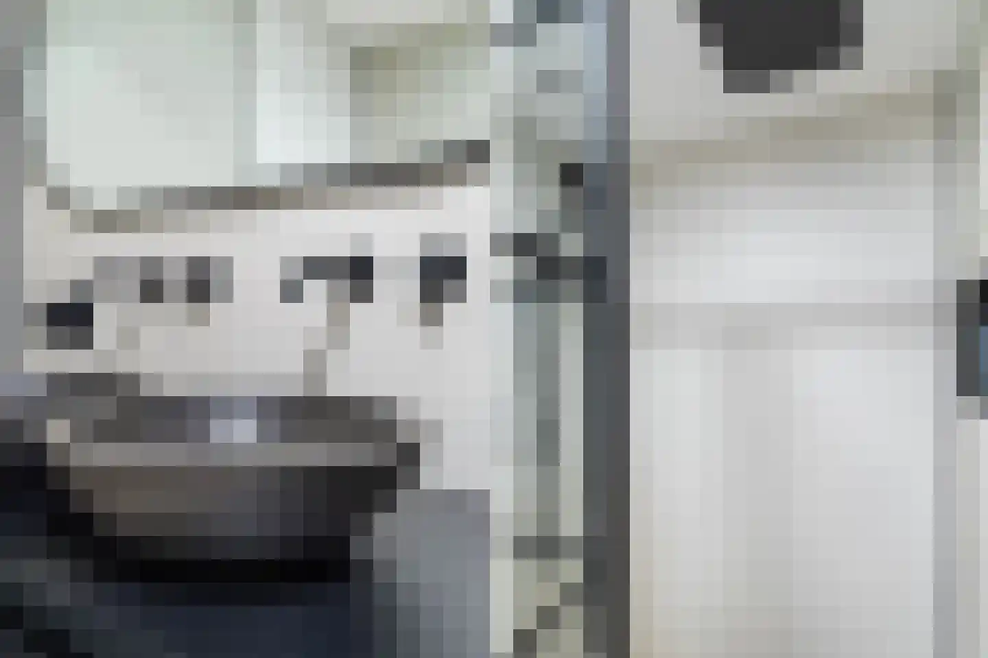 Vlietland 35 Mijnsheerenland thumbnail 46