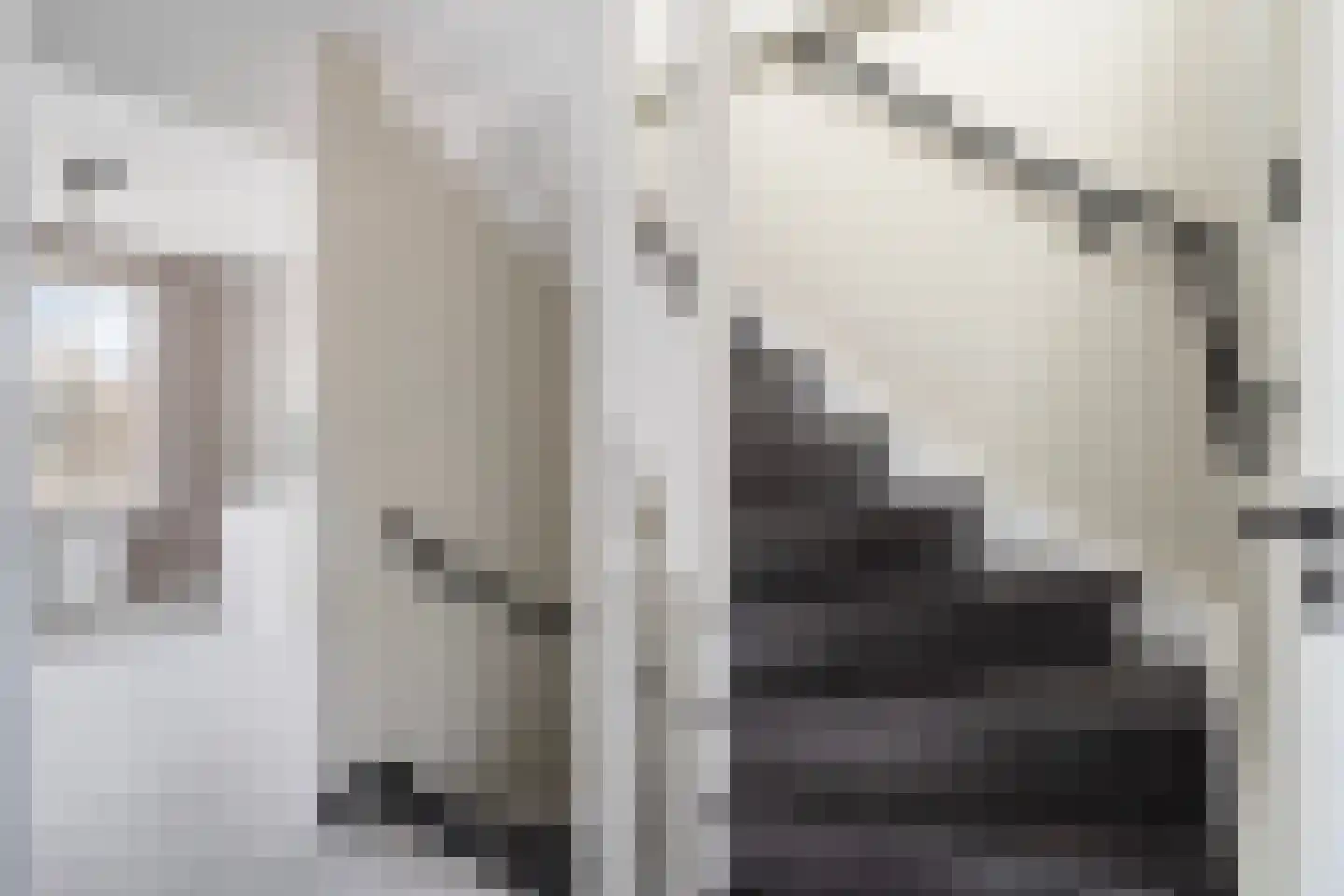 Vlietland 35 Mijnsheerenland thumbnail 47