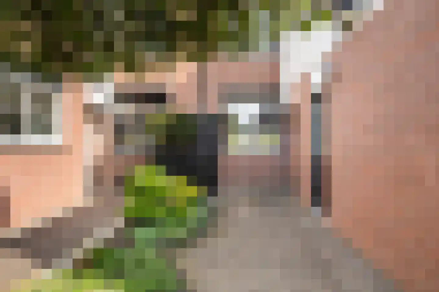 Vlietland 35 Mijnsheerenland thumbnail 5