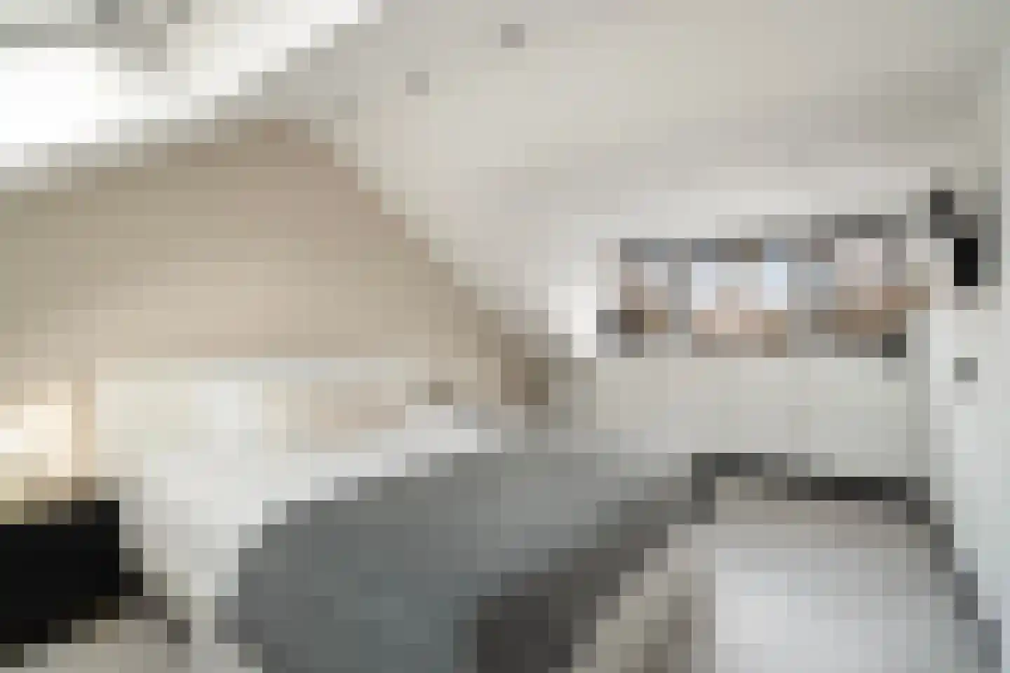 Vlietland 35 Mijnsheerenland thumbnail 51