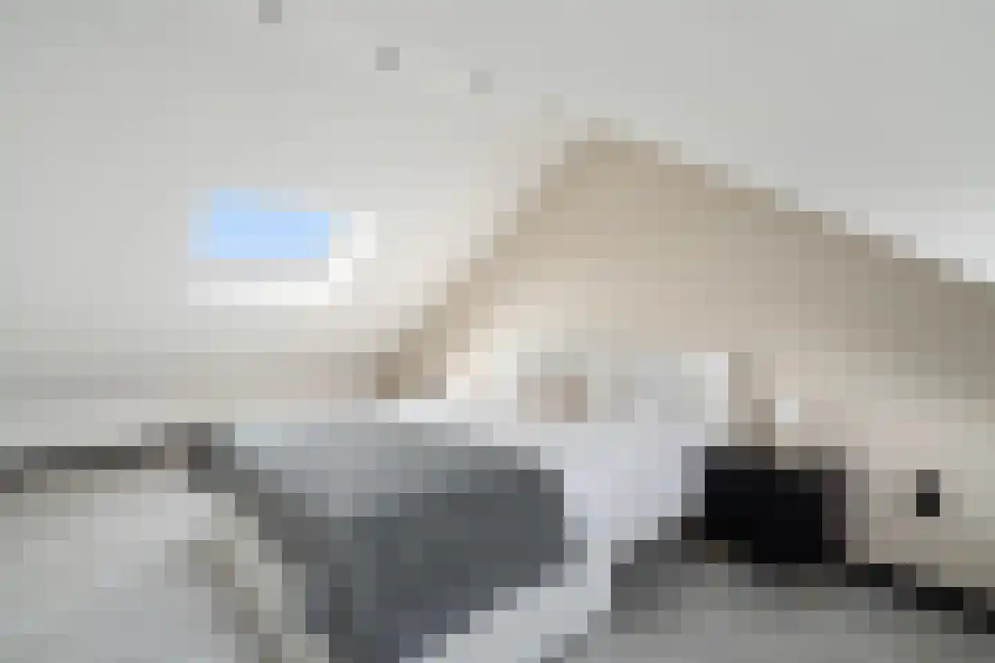 Vlietland 35 Mijnsheerenland thumbnail 52