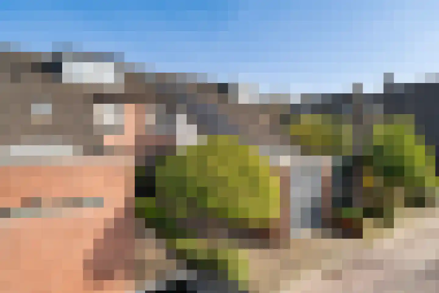 Vlietland 35 Mijnsheerenland thumbnail 54
