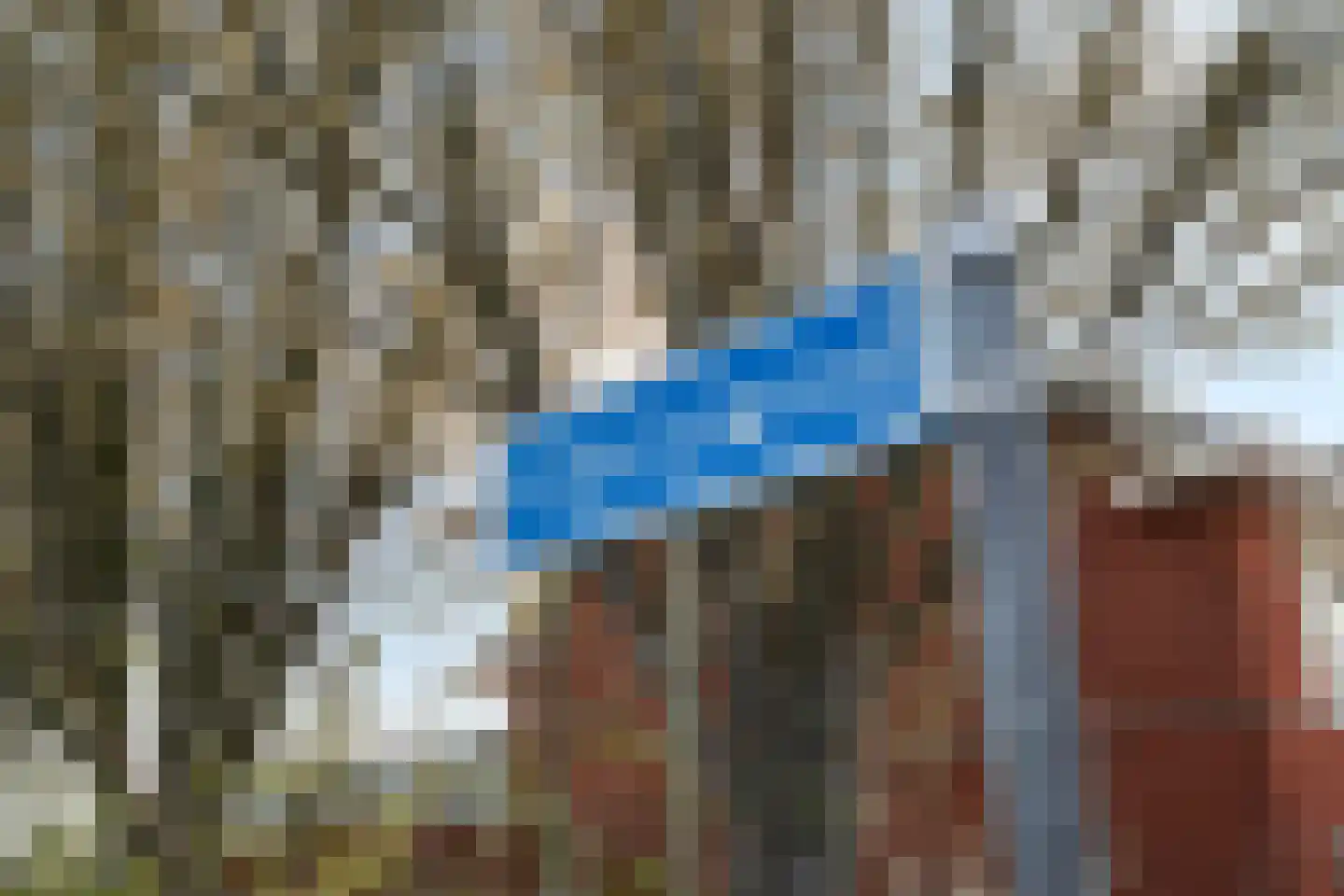 Vlietland 35 Mijnsheerenland thumbnail 55