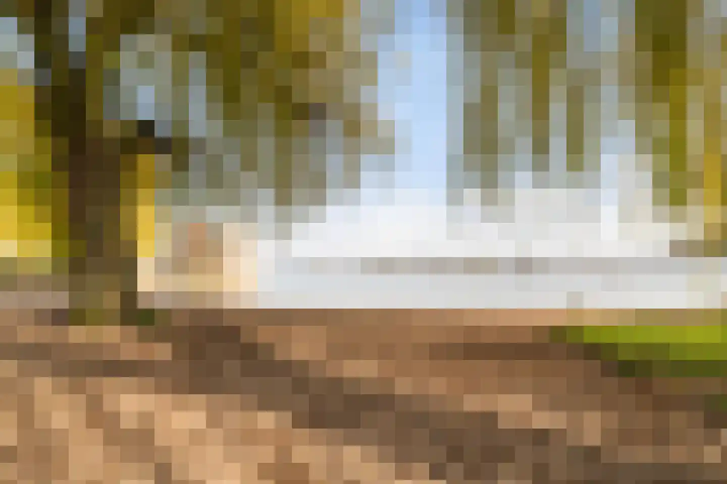 Vlietland 35 Mijnsheerenland thumbnail 58
