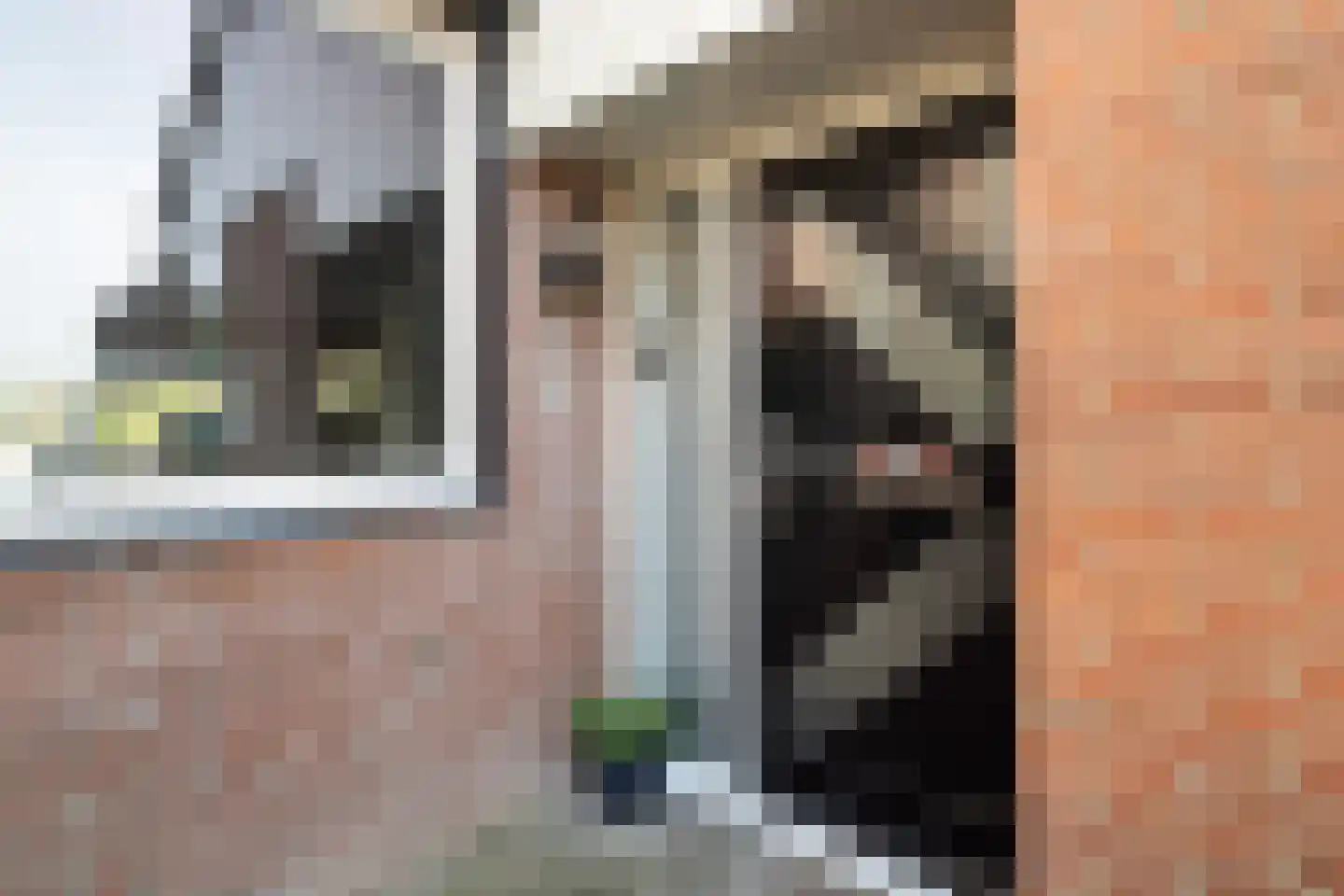 Vlietland 35 Mijnsheerenland thumbnail 6