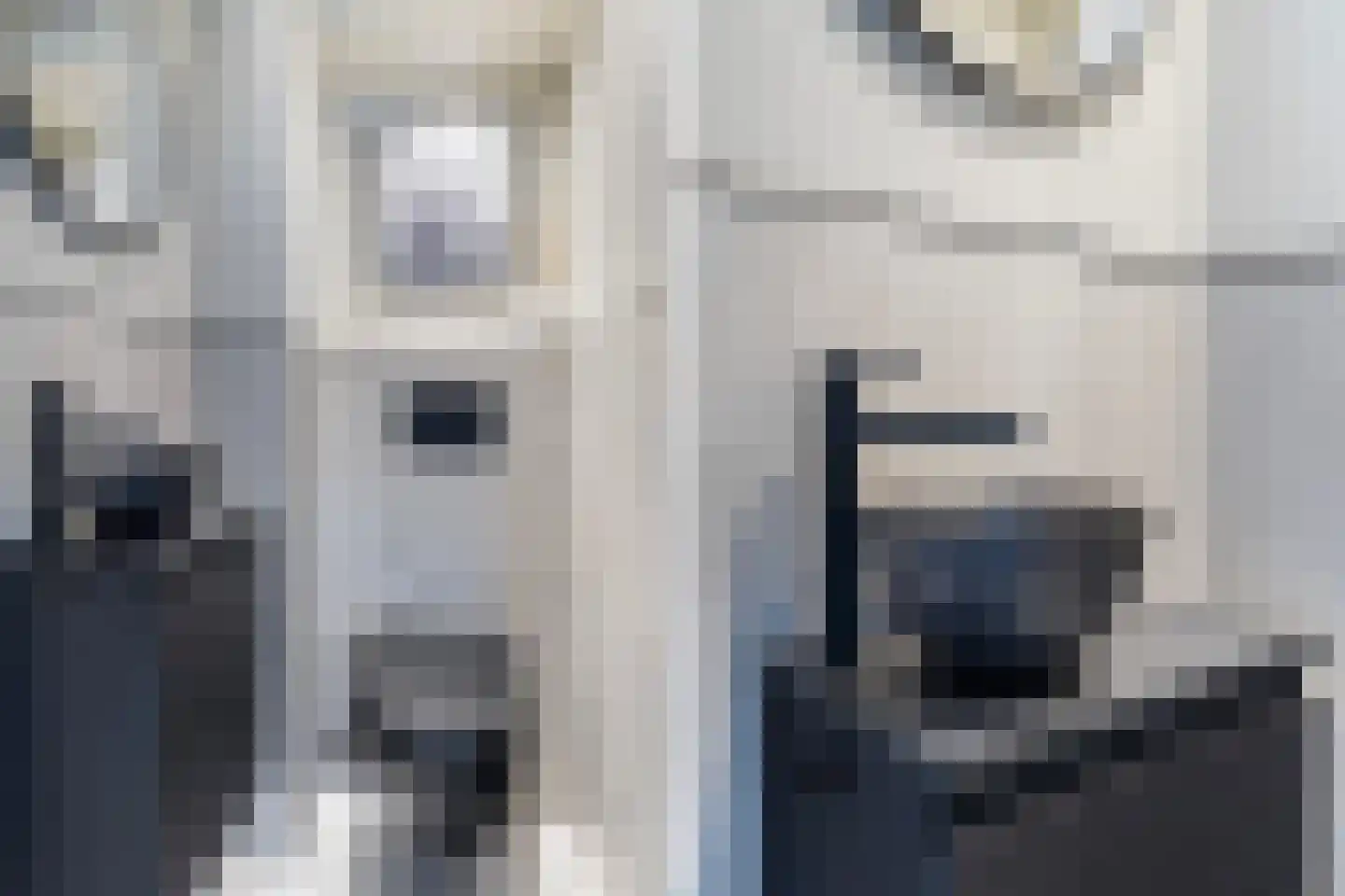 Vlietland 35 Mijnsheerenland thumbnail 8