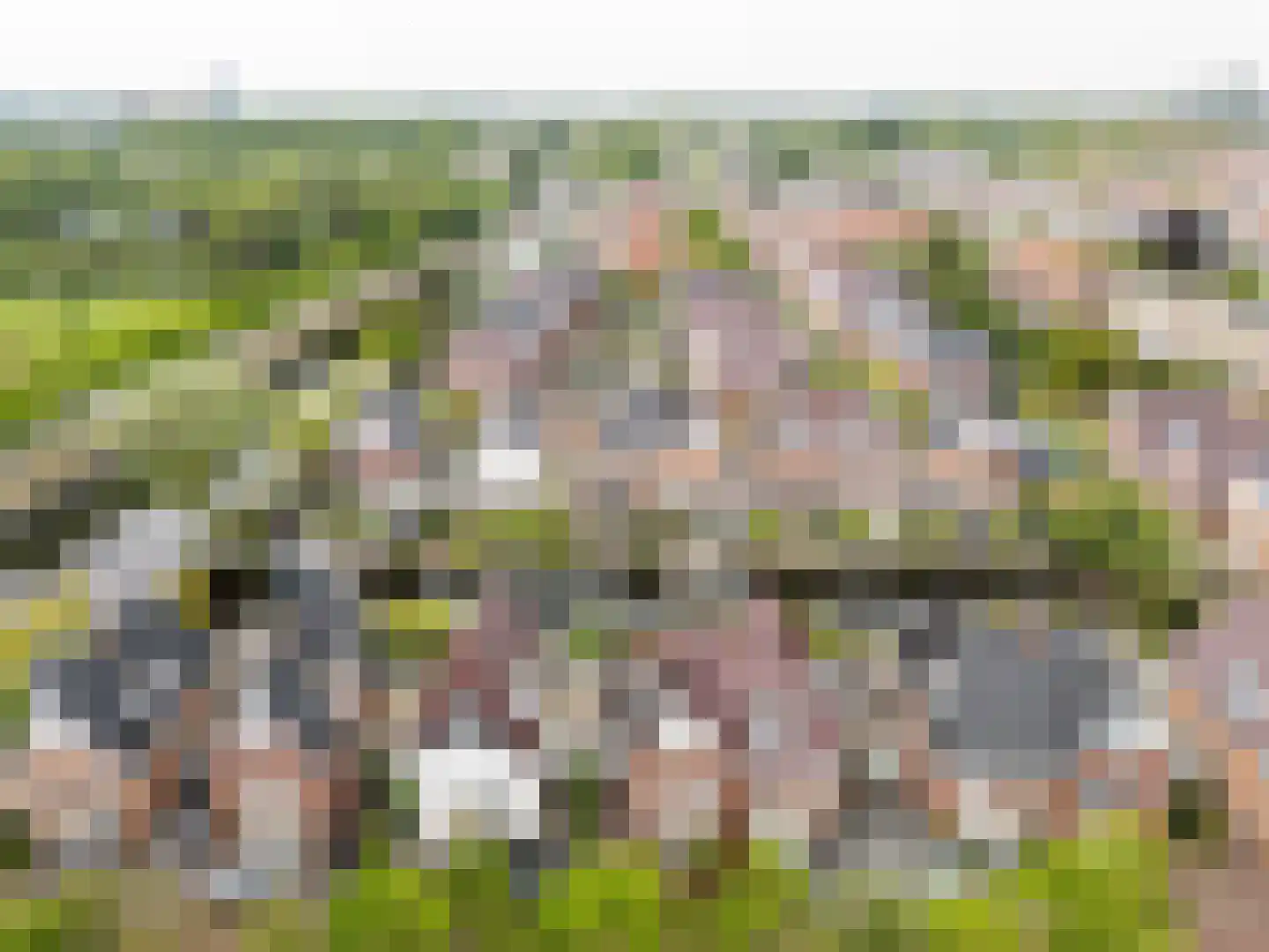 Vlietoevers 44 Voorburg thumbnail 10