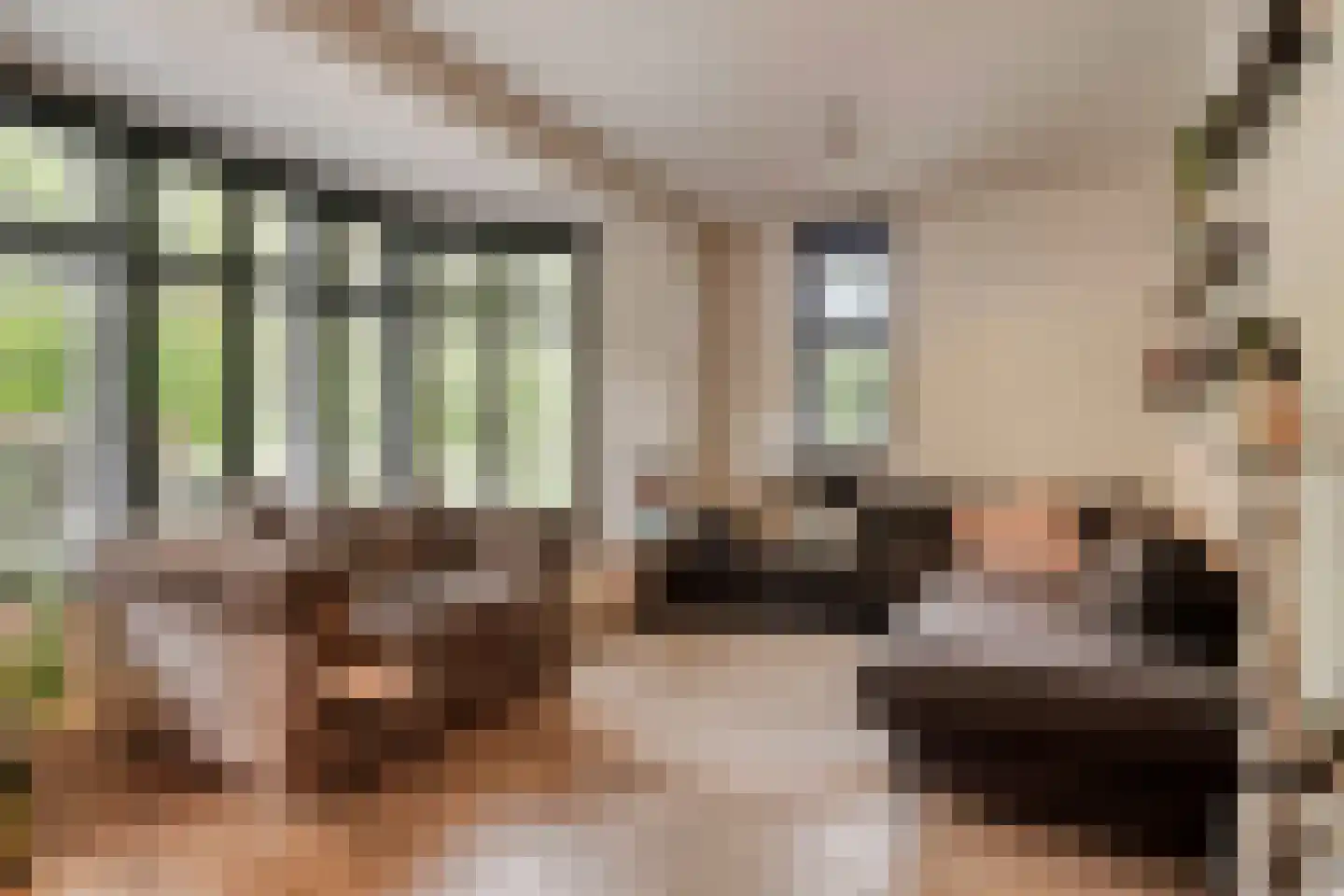 Vlietoevers 44 Voorburg thumbnail 18