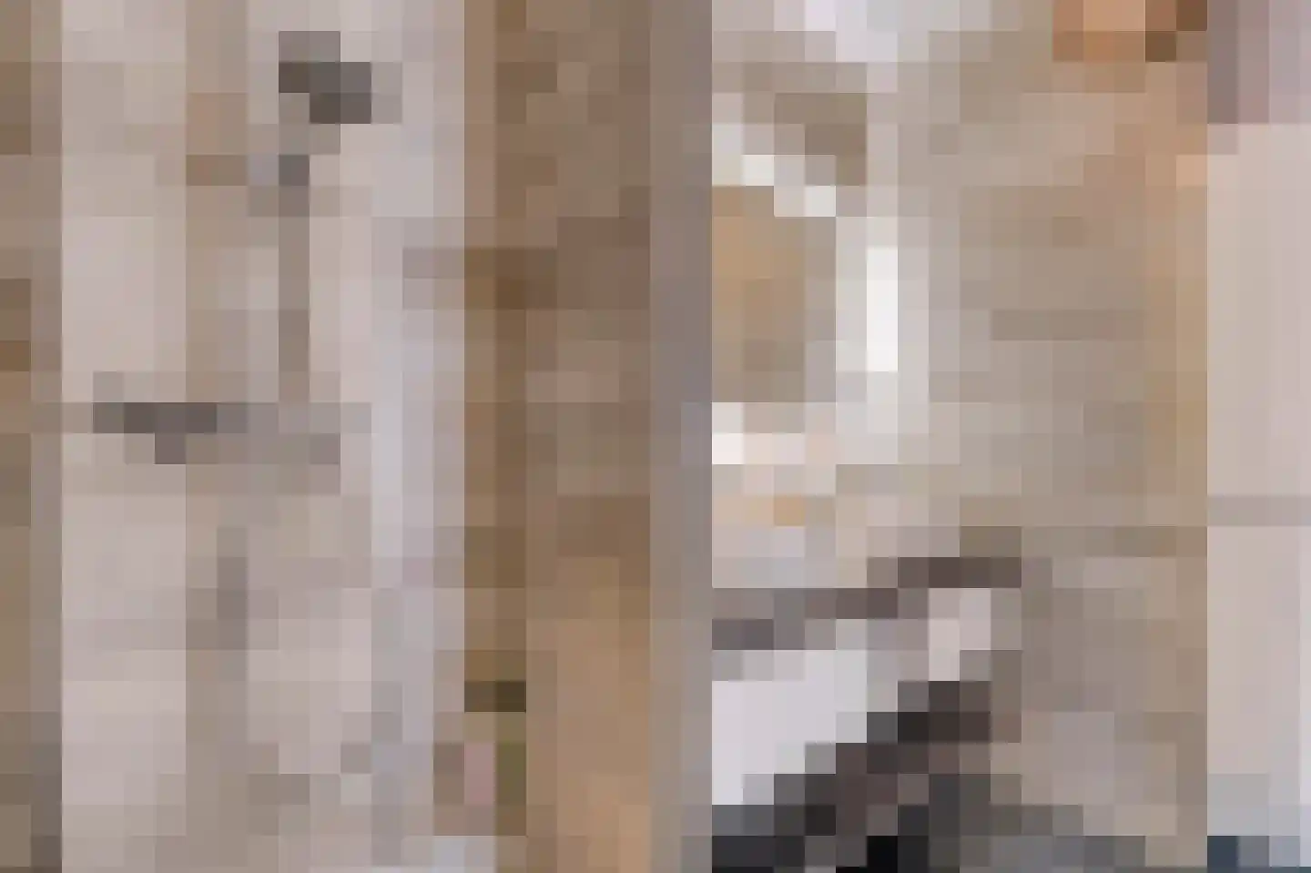 Vlietoevers 44 Voorburg thumbnail 31