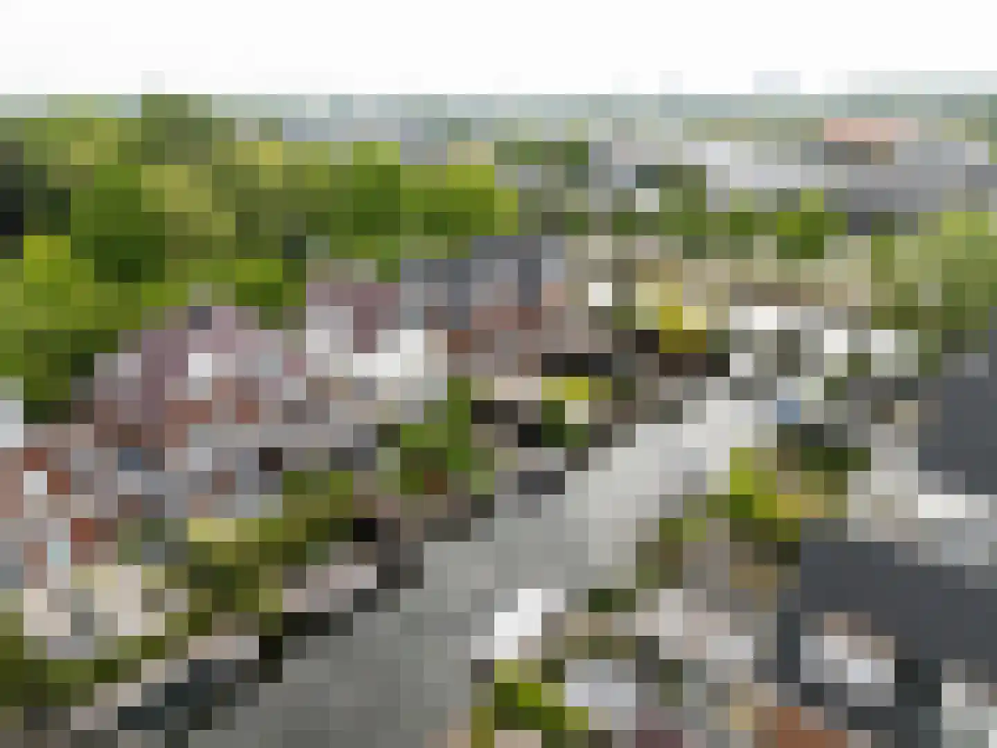 Vlietoevers 44 Voorburg thumbnail 4