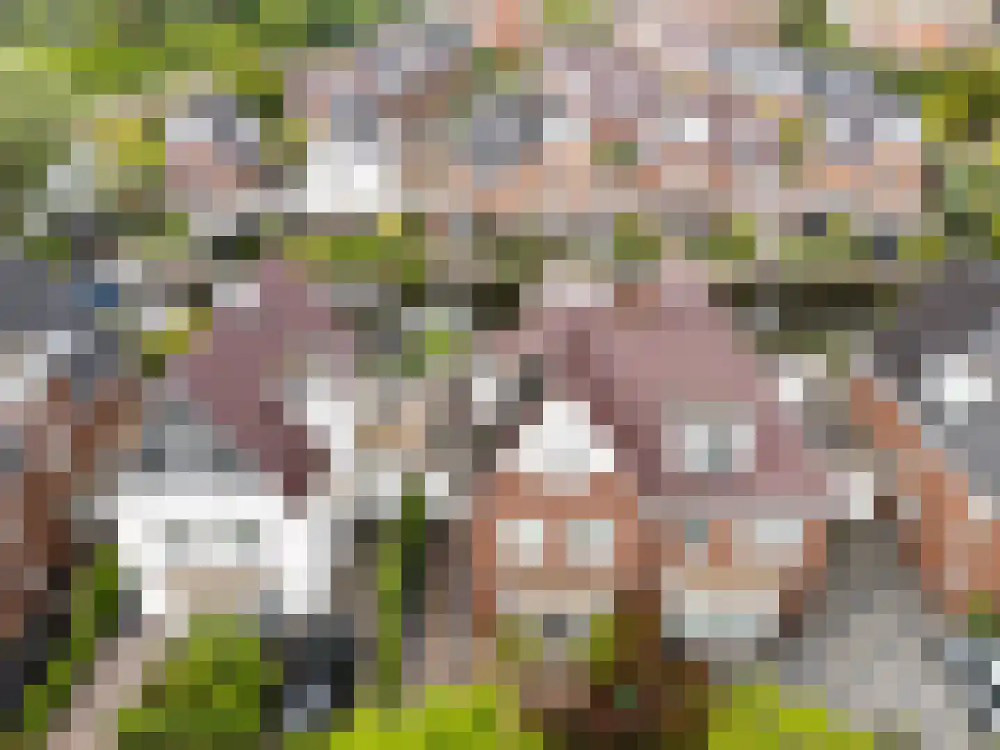 Vlietoevers 44 Voorburg thumbnail 5