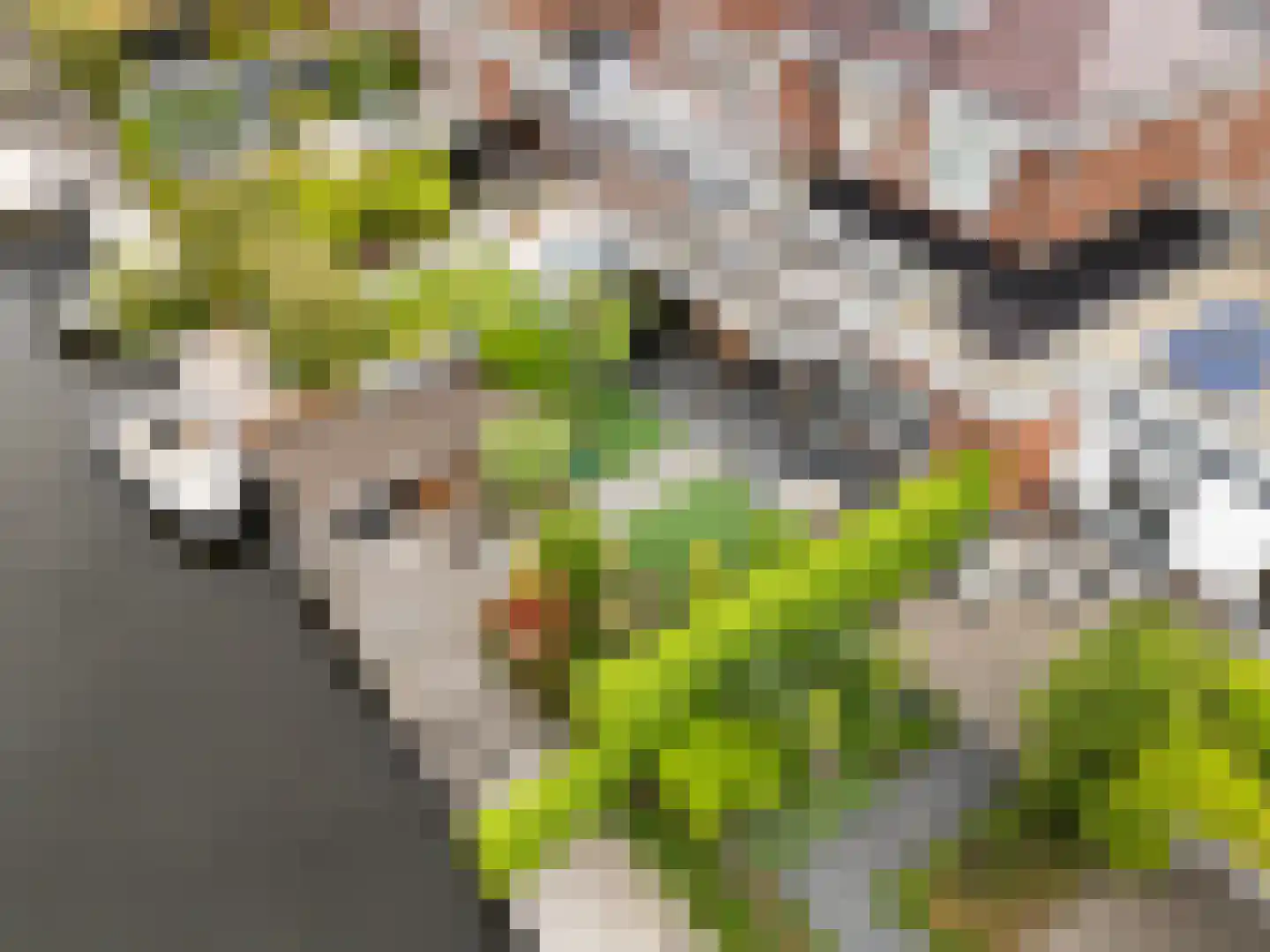 Vlietoevers 44 Voorburg thumbnail 7