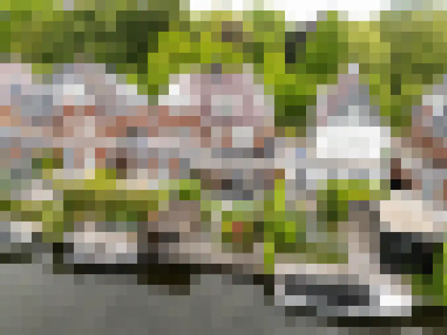 Vlietoevers 44 Voorburg thumbnail 8