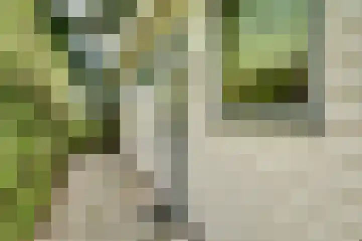 Vlietpark 12 Leiden thumbnail 4