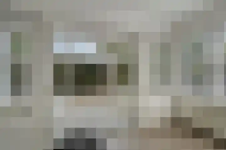 Vlietpark 12 Leiden thumbnail 6