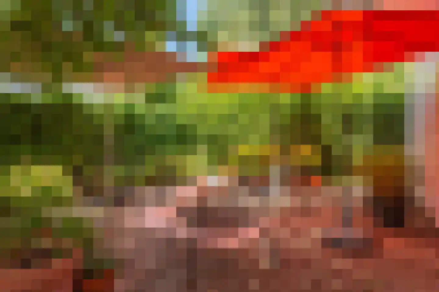 Vlietpark 16 Leiden thumbnail 13