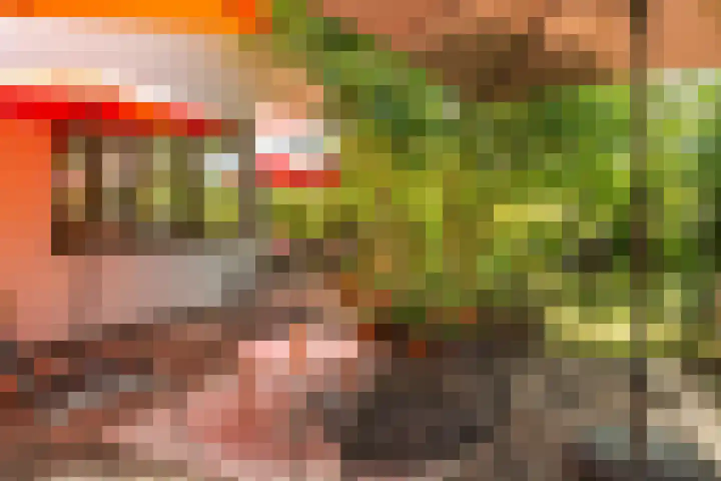 Vlietpark 16 Leiden thumbnail 14