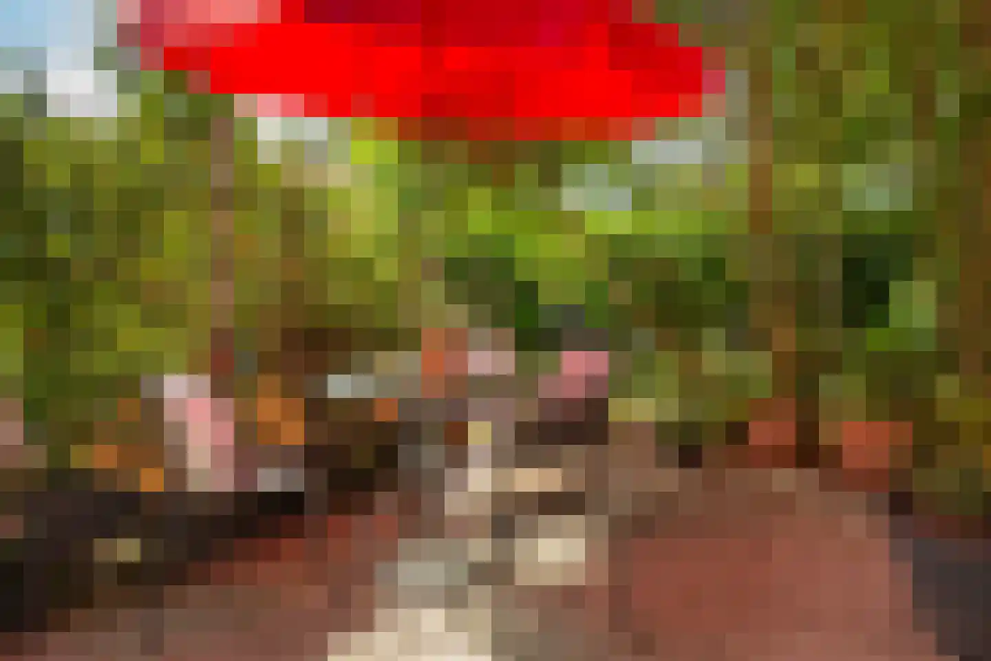 Vlietpark 16 Leiden thumbnail 15