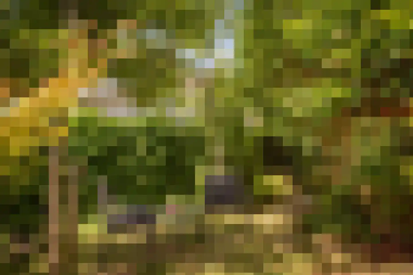 Vlietpark 16 Leiden thumbnail 16