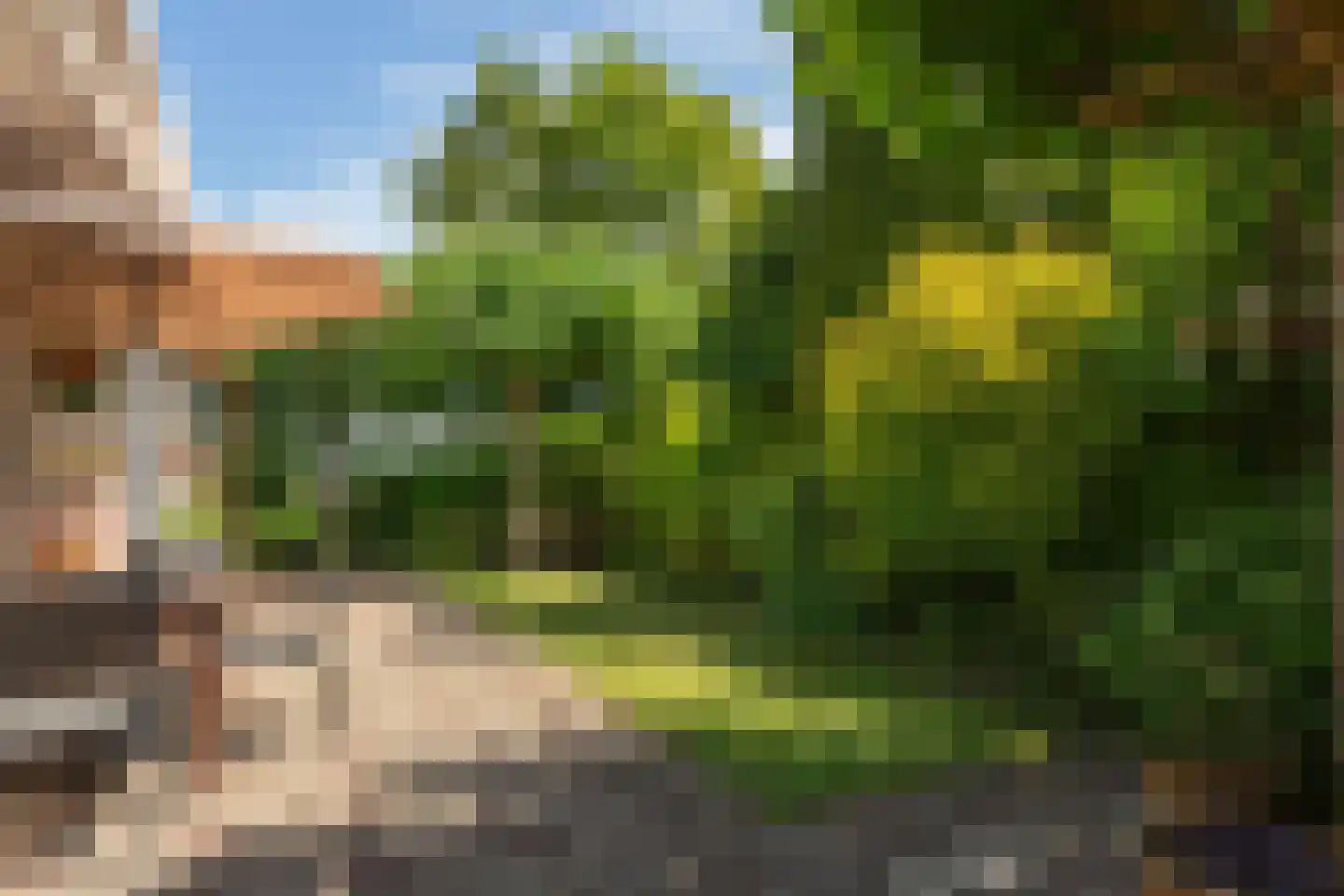 Vlietpark 36 Leiden thumbnail 13
