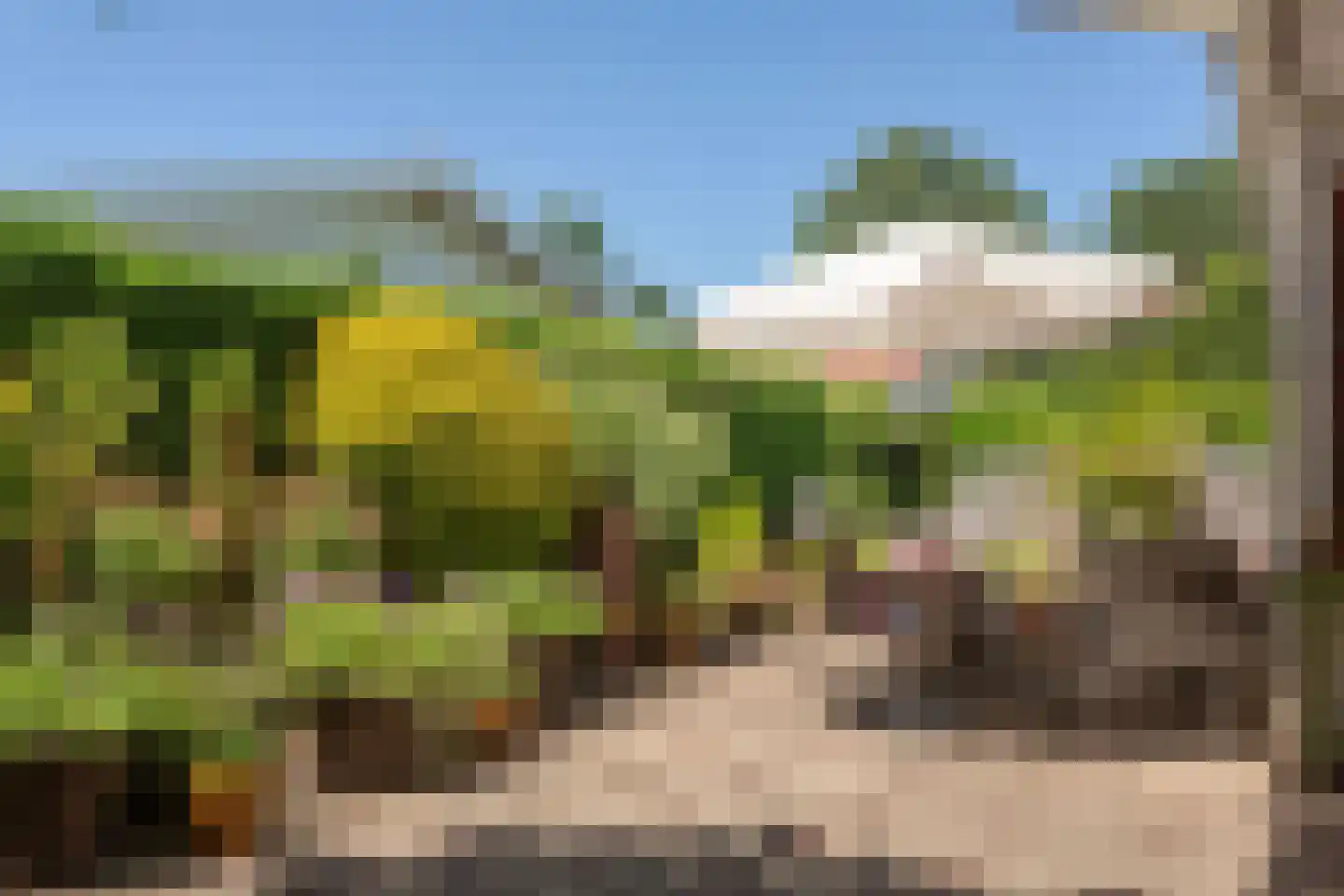 Vlietpark 36 Leiden thumbnail 15