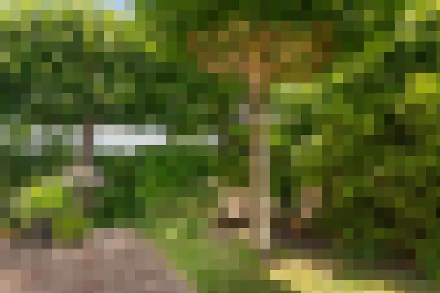 Vlietpark 36 Leiden thumbnail 16