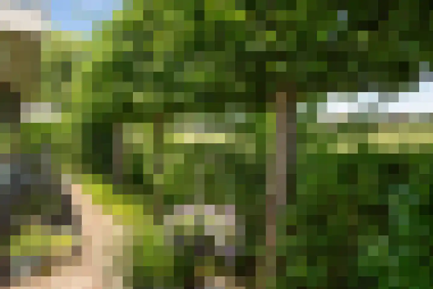 Vlietpark 36 Leiden thumbnail 17
