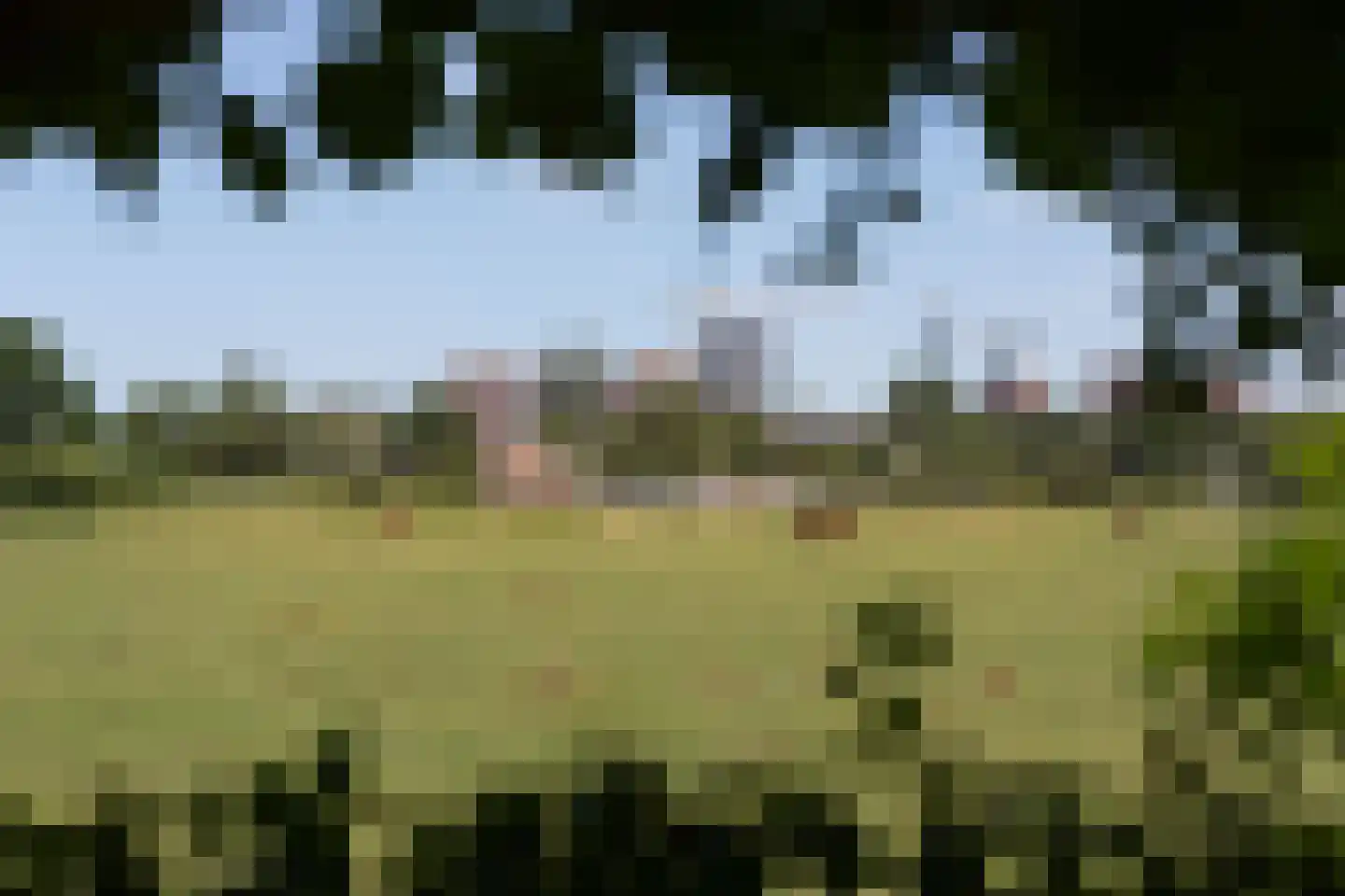 Vlietpark 36 Leiden thumbnail 19